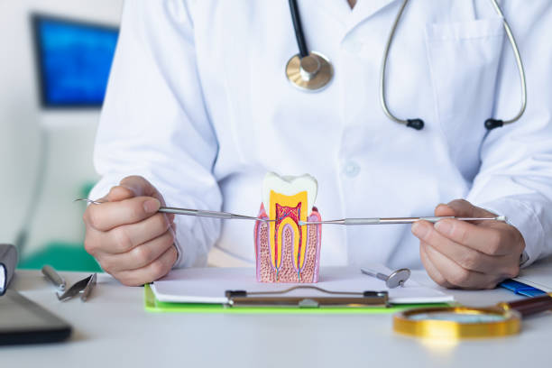 Best Emergency Pediatric Dental Care in Bellevue, IL